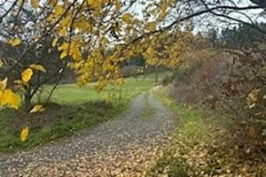 Gemeinde Angelburg, in der Nähe von Gönnern