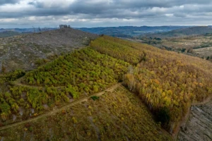 Hauberge im Naturpark Lahn-Dill-Bergland (© Jan Bosch)