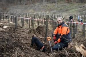 Pflanzung im Naturpark Lahn-Dill-Bergland (Foto: © BUND Rolf Wegst)