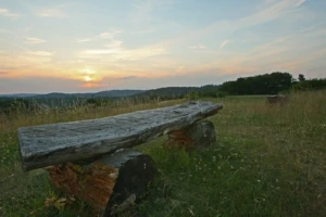 Dornhecke Siegbach © Stephan Schneider
