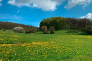 Landschaft bei Niederhörlen © Marburg Stadt und Land Tourismus GmbH