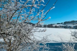 Winterlandschaft bei Niederhörlen © Marburg Stadt und Land Tourismus GmbH