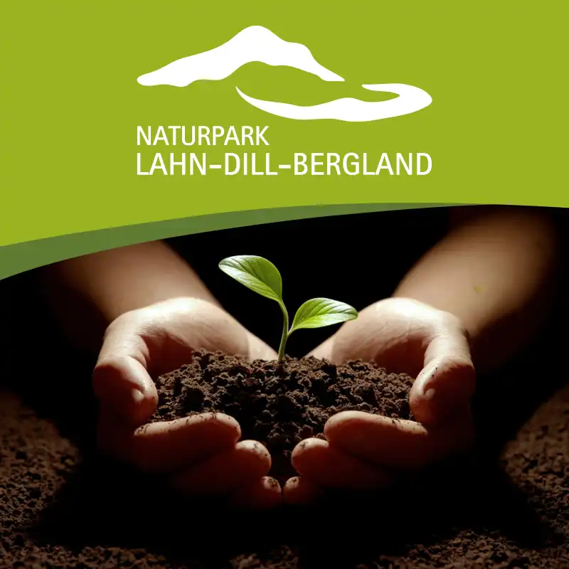 Naturschutzprojekte im Naturpark Lahn-Dill-Bergland (Bild von David Clode auf Pixabay)